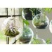 3" Dia Hanging Glass Globe Terrarium Candle Holder Bulk | Sold by Case of 12   382400479606